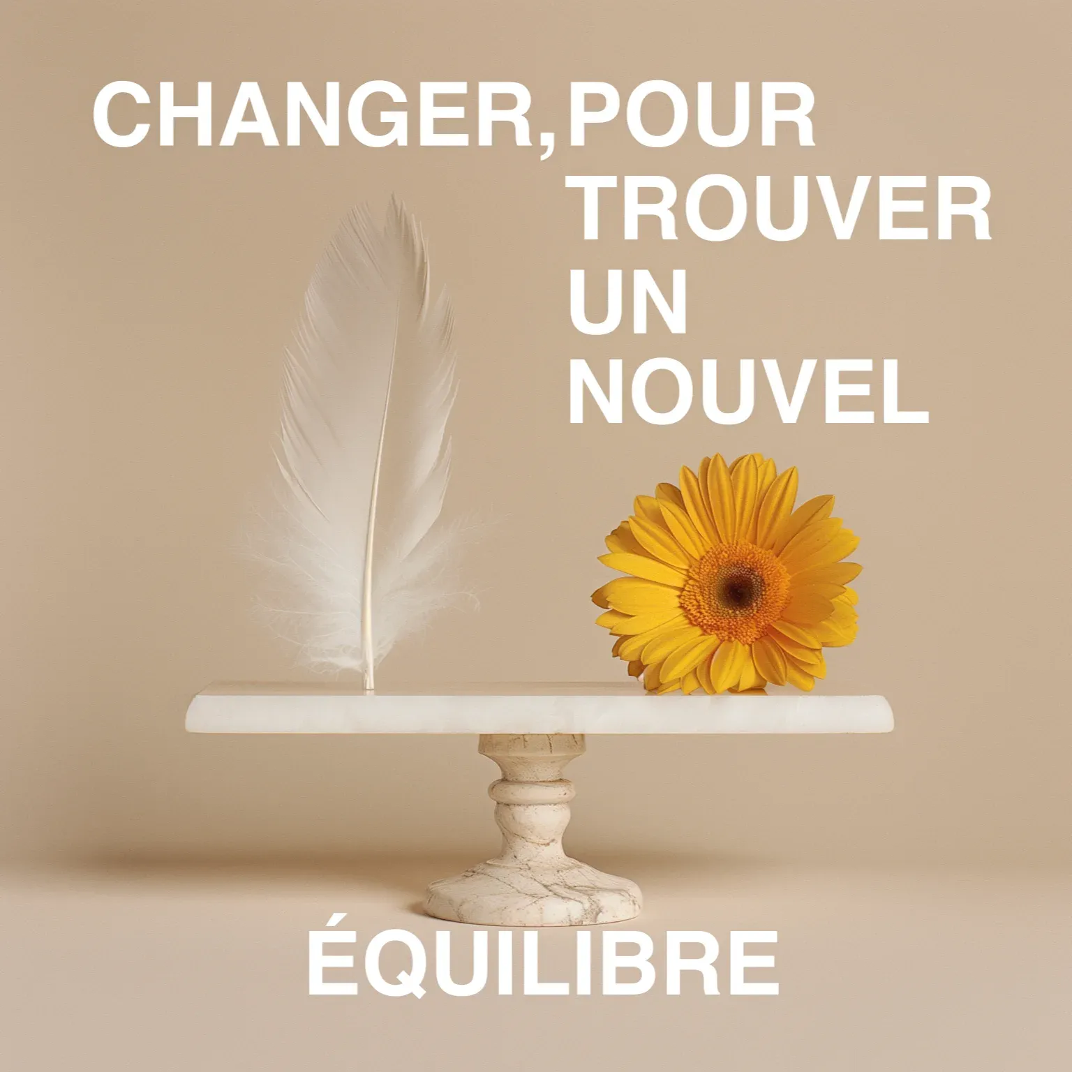 Une photo avec une plume et une fleur jaune, en équilibre sur une plaque de marbre, avec le texte suivant "Changer pour trouver un nouvel équilibre"