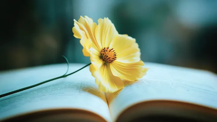 Une fleur sur un livre